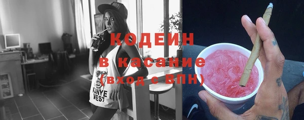 хмурый Алексин