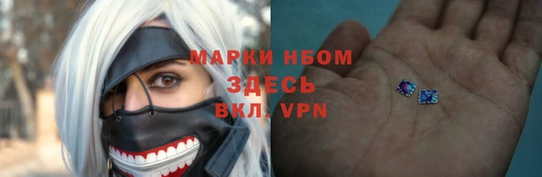 хмурый Алексин
