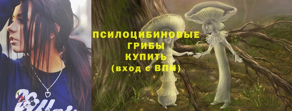 стафф Россошь