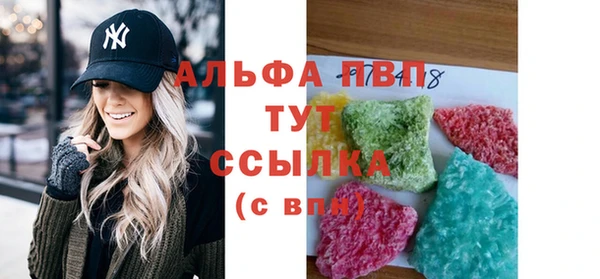 хмурый Алексин