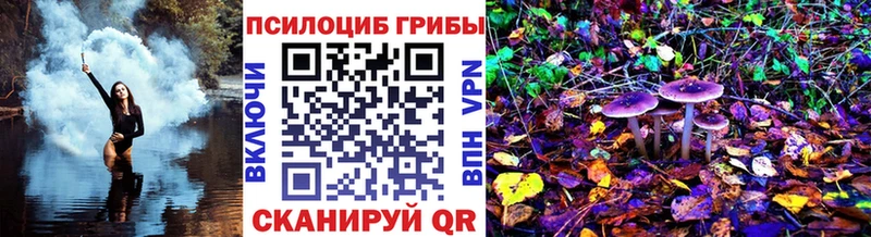 blacksprut ссылки  Амурск  Псилоцибиновые грибы прущие грибы 