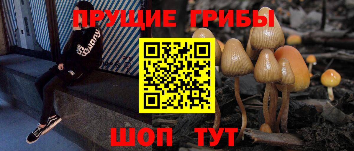 Амурск  Галлюциногенные грибы мухоморы  Псилоцибиновые грибы Cubensis  Вход с VPN 