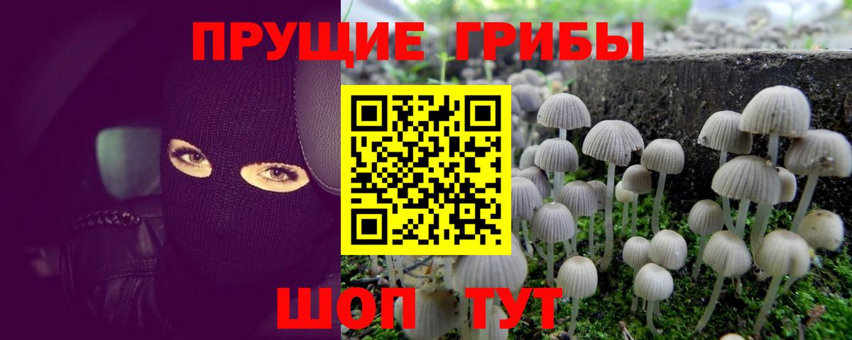 Псилоцибиновые грибы мухоморы Амурск