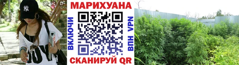 Бошки Шишки гибрид  мега ТОР  Амурск 